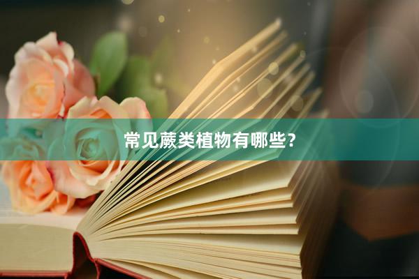 常见蕨类植物有哪些？