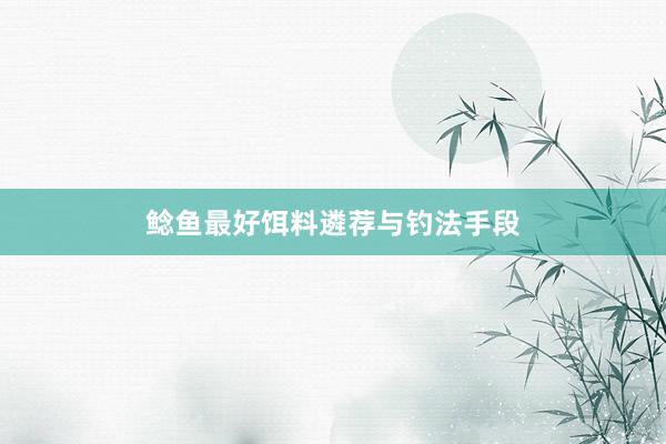鲶鱼最好饵料遴荐与钓法手段